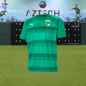 GFC -  Puma Kids Green Striped Training Top