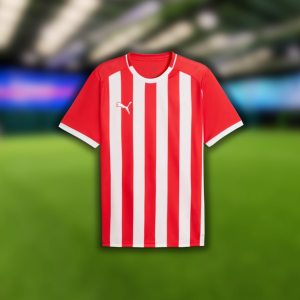Puma TeamLiga26 Striped Jersey (Red/White)