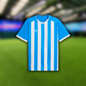 Puma TeamLiga26 Striped Jersey (Blue/White)