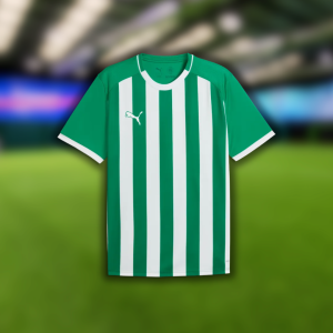Puma TeamLiga26 Striped Jersey (Green/White)