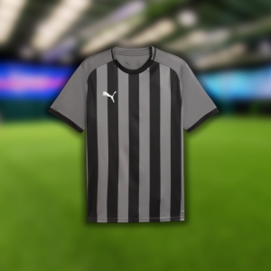 Puma TeamLiga26 Striped Jersey (Grey/Black)