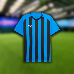 Puma TeamLiga26 Striped Jersey (Blue/Black)