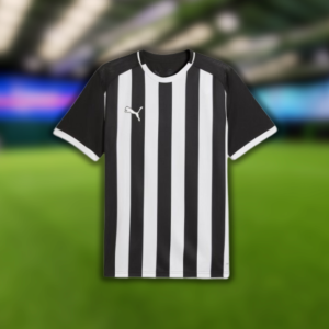 Puma TeamLiga26 Striped Jersey (Black/White)