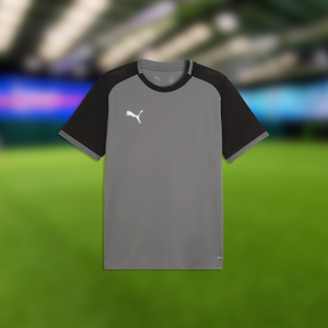 Puma TeamLiga26 Matchday Jersey Junior (Grey/Black)