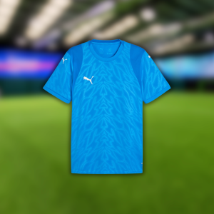 Puma TeamCup Jersey (Blue)