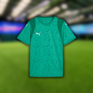 Puma TeamCup Jersey (Green)