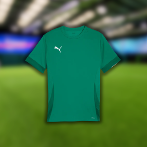 Puma TeamGoal Matchday Jersey Junior (Green)