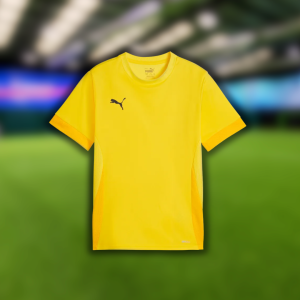 Puma TeamGoal Matchday Jersey (Yellow)