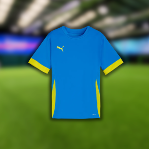 Puma TeamGoal Matchday Jersey Junior (Blue/Yellow)