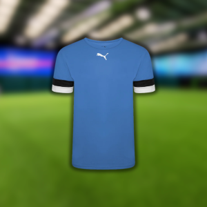 Puma TeamRise Jersey (Blue)